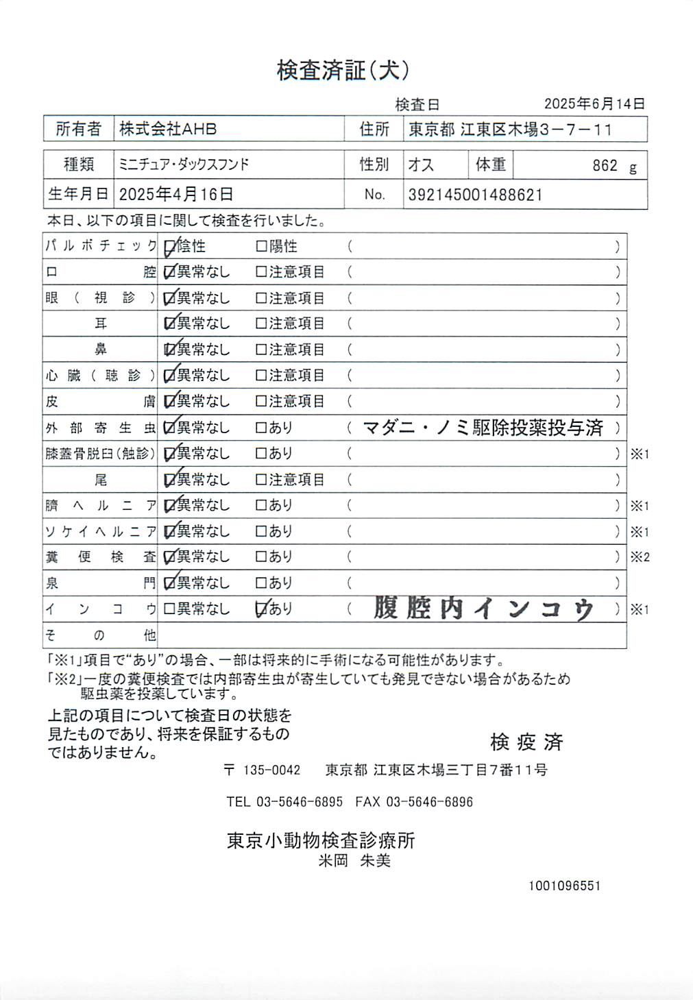 ミニチュア・ダックスフンド