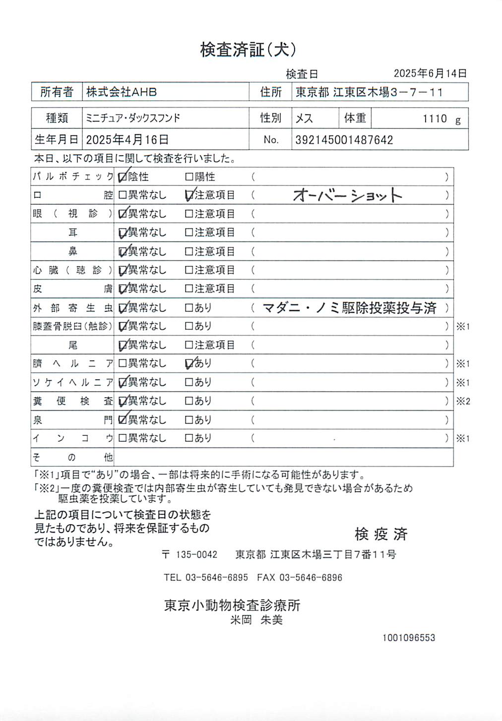 ミニチュア・ダックスフンド