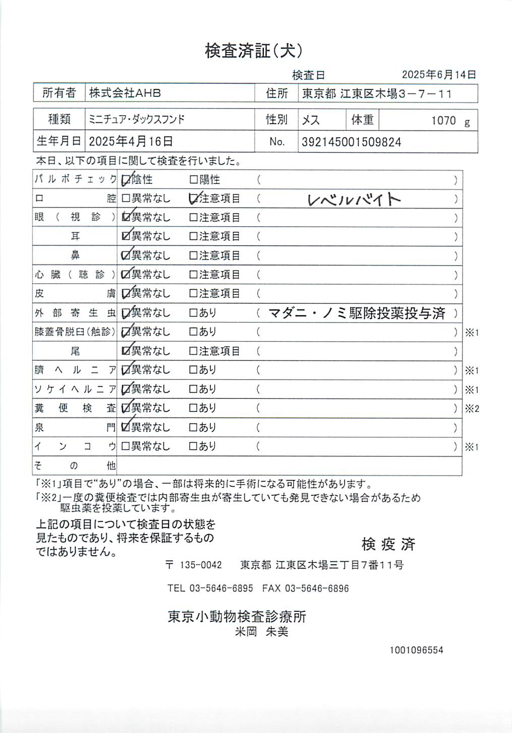 ミニチュア・ダックスフンド
