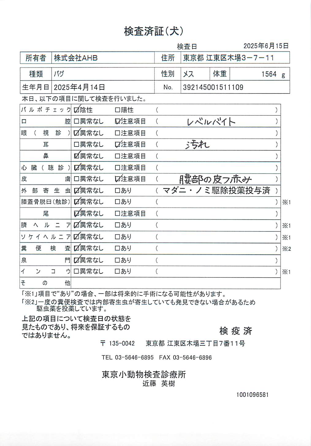 パグ