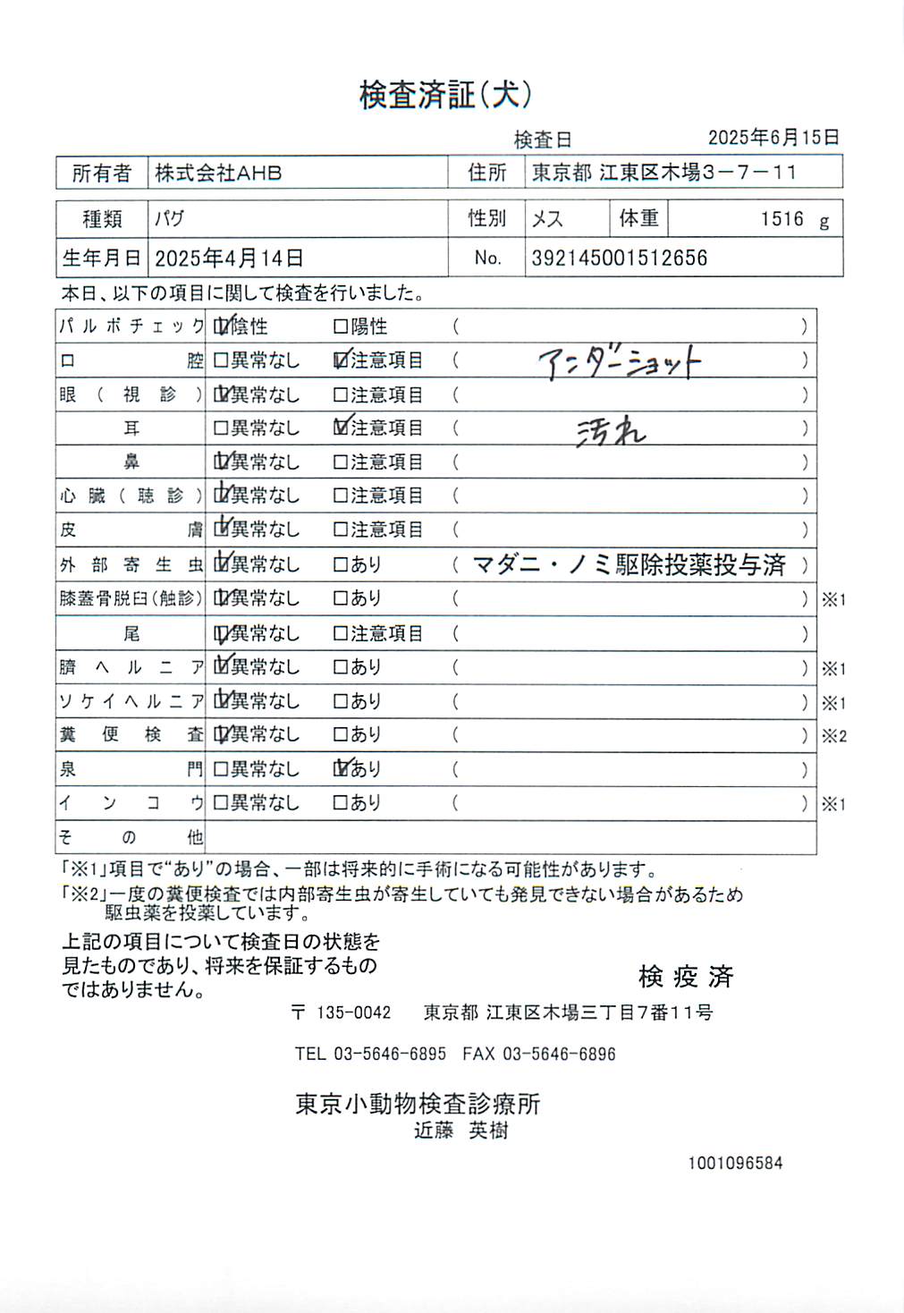 パグ