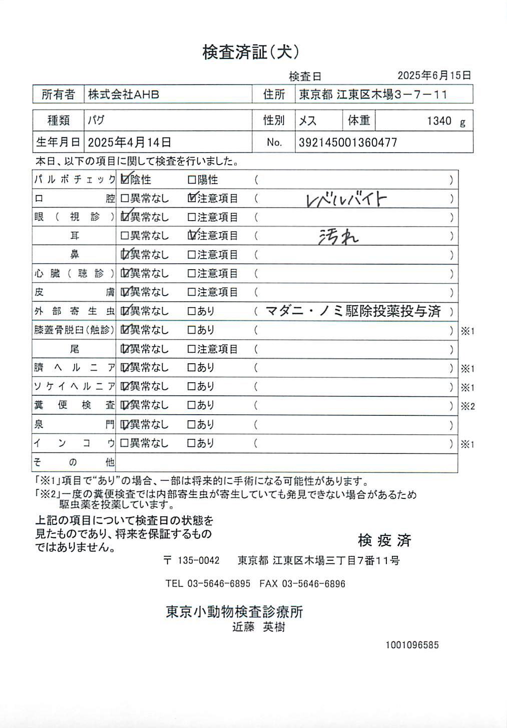 パグ