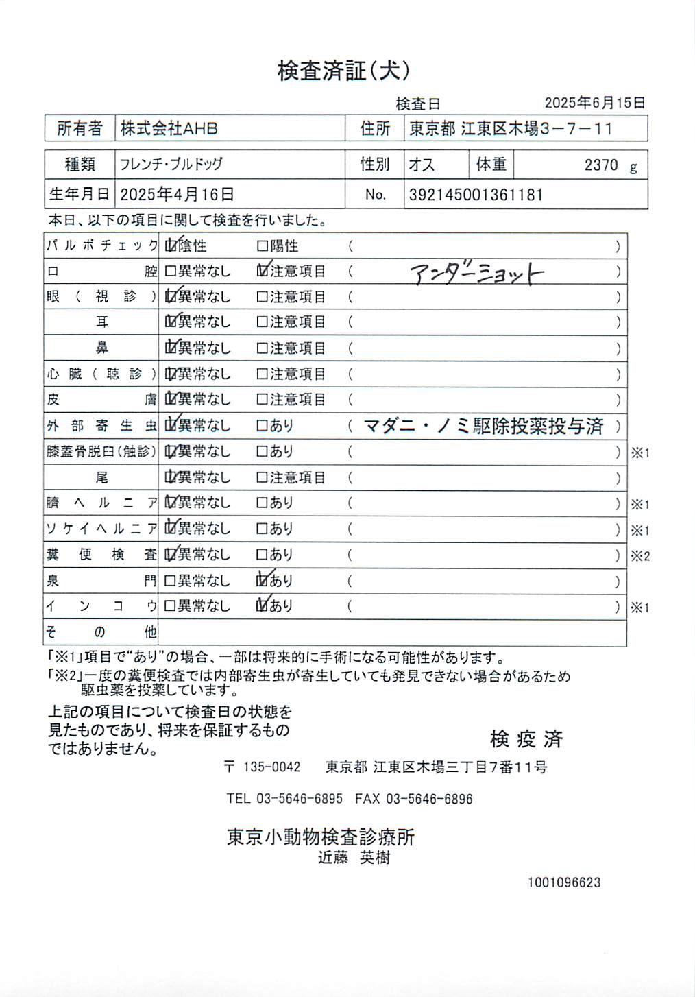 フレンチ・ブルドッグ