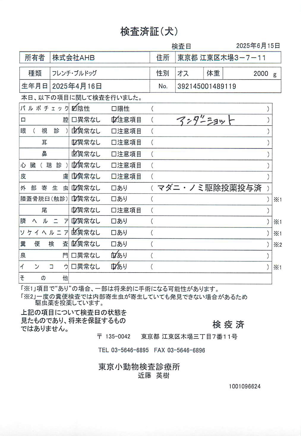 フレンチ・ブルドッグ