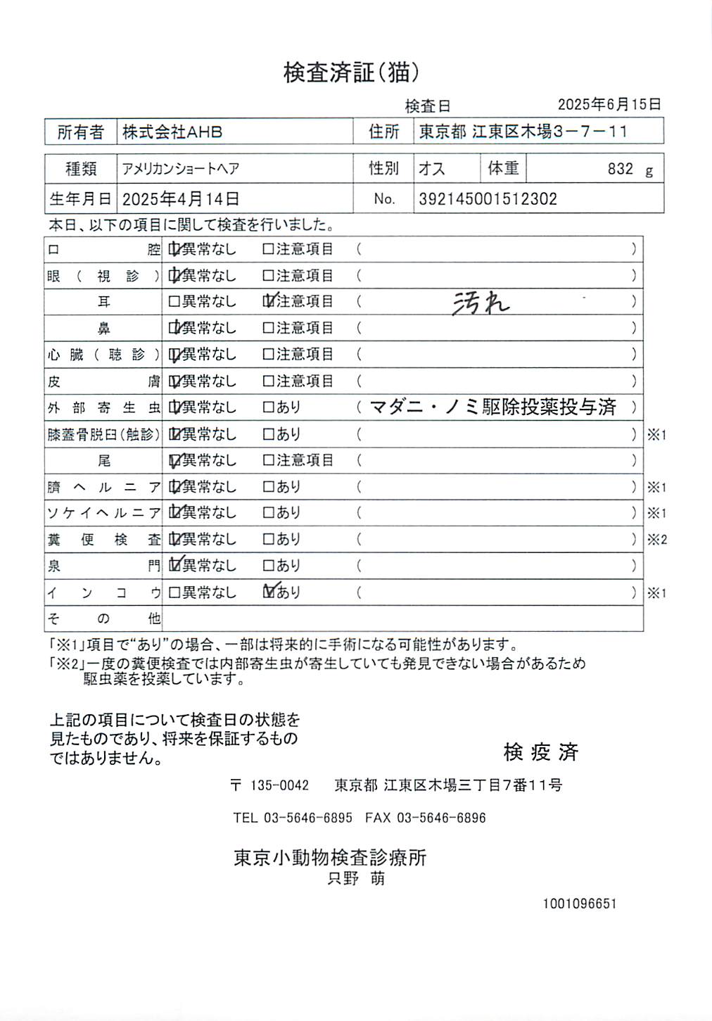 アメリカンショートヘア
