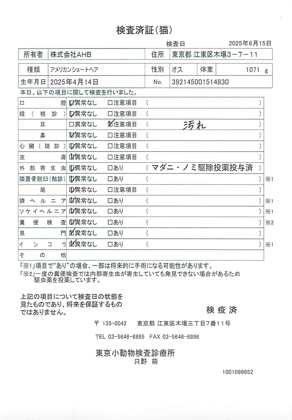 アメリカンショートヘア