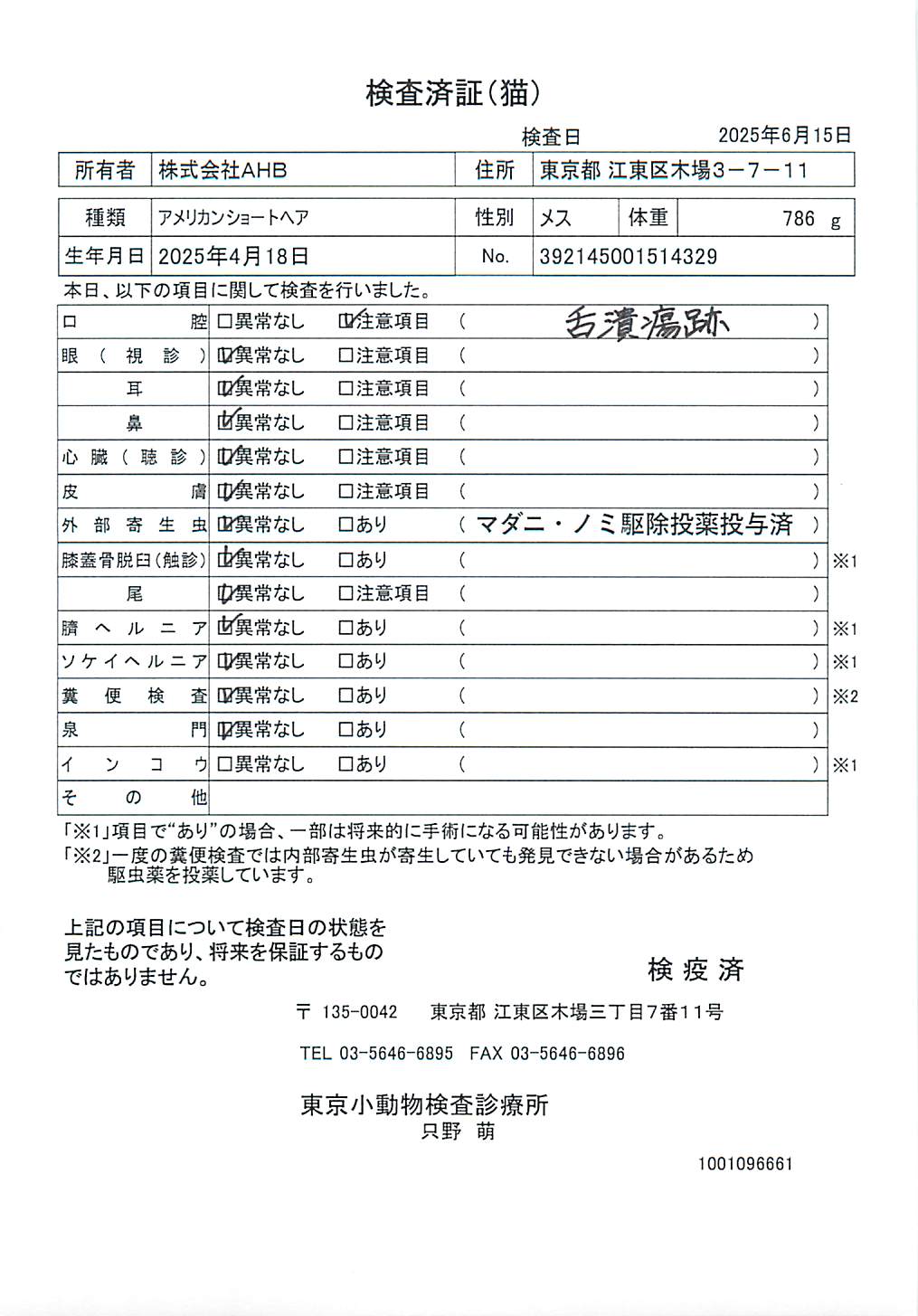 アメリカンショートヘア