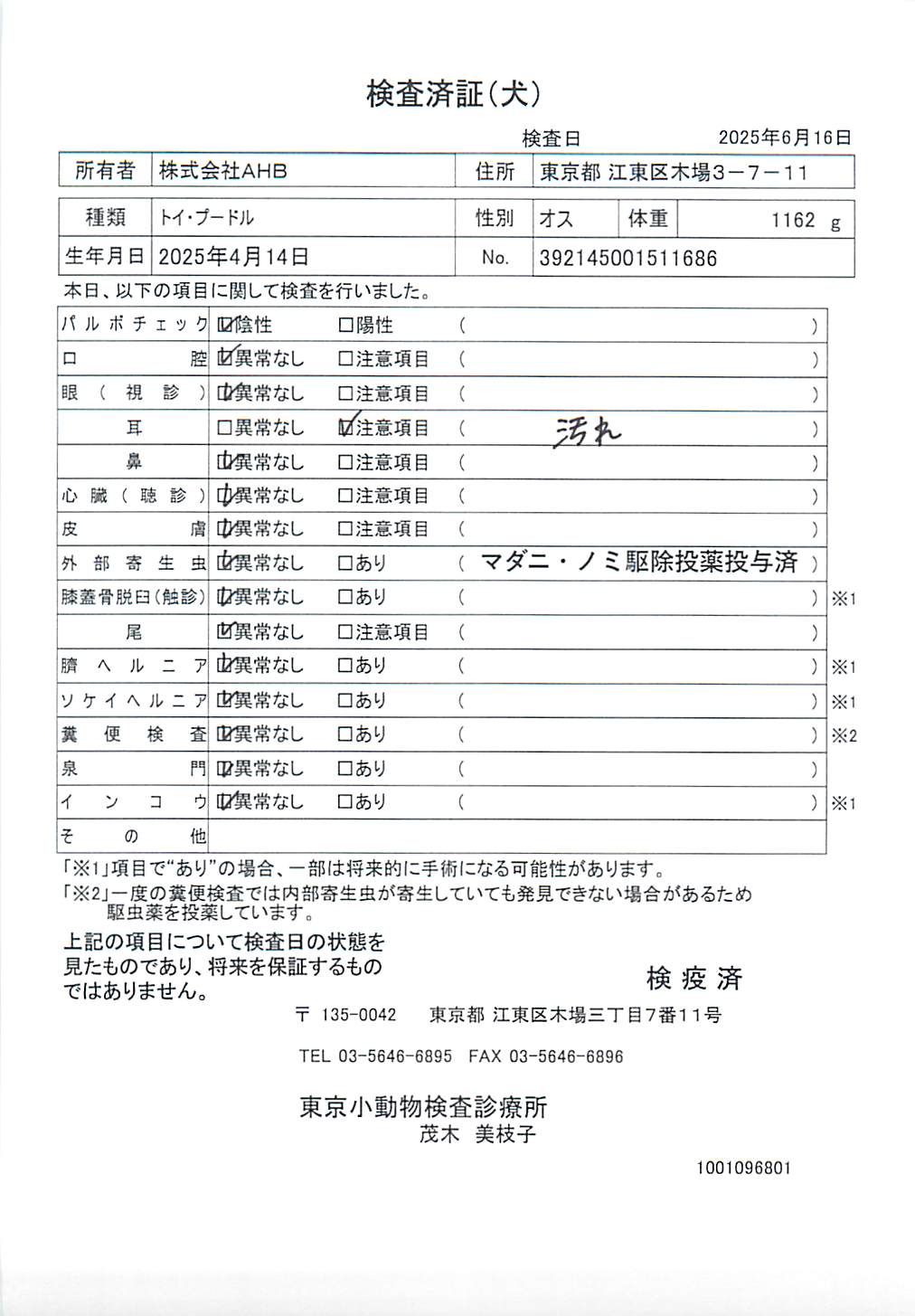 トイ・プードル
