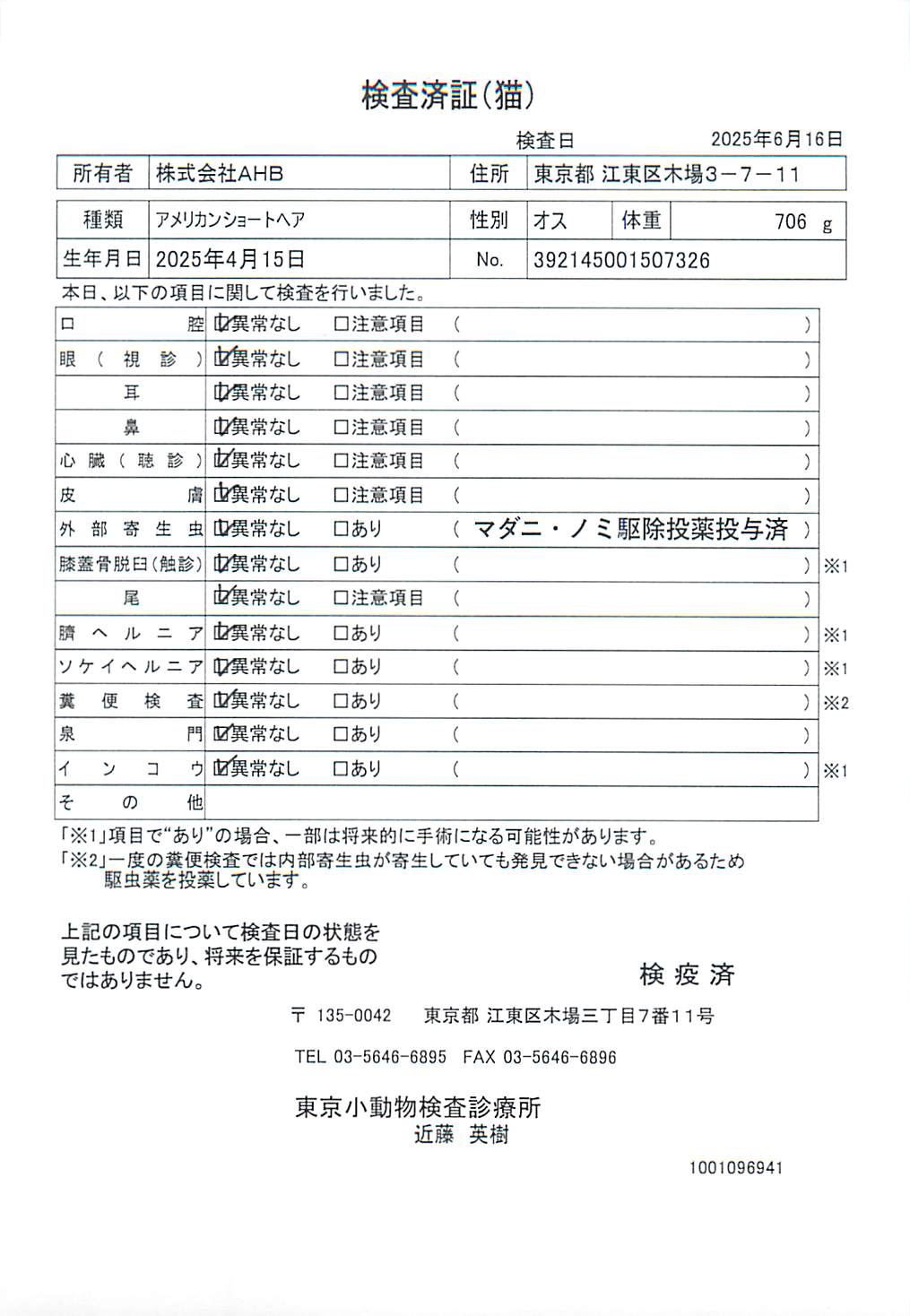 アメリカンショートヘア