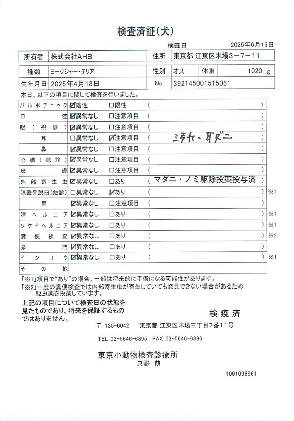 ヨークシャー・テリア