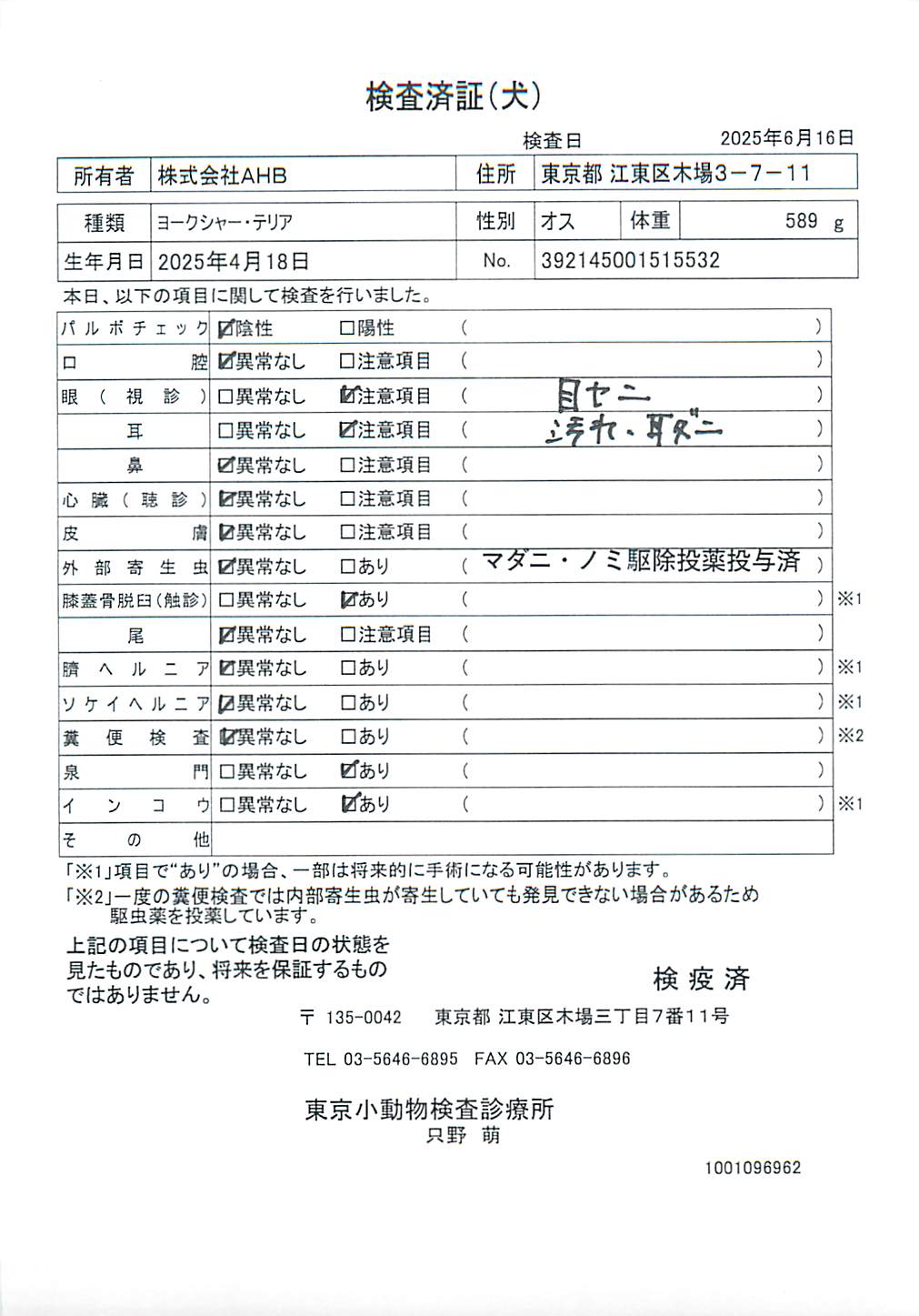 ヨークシャー・テリア