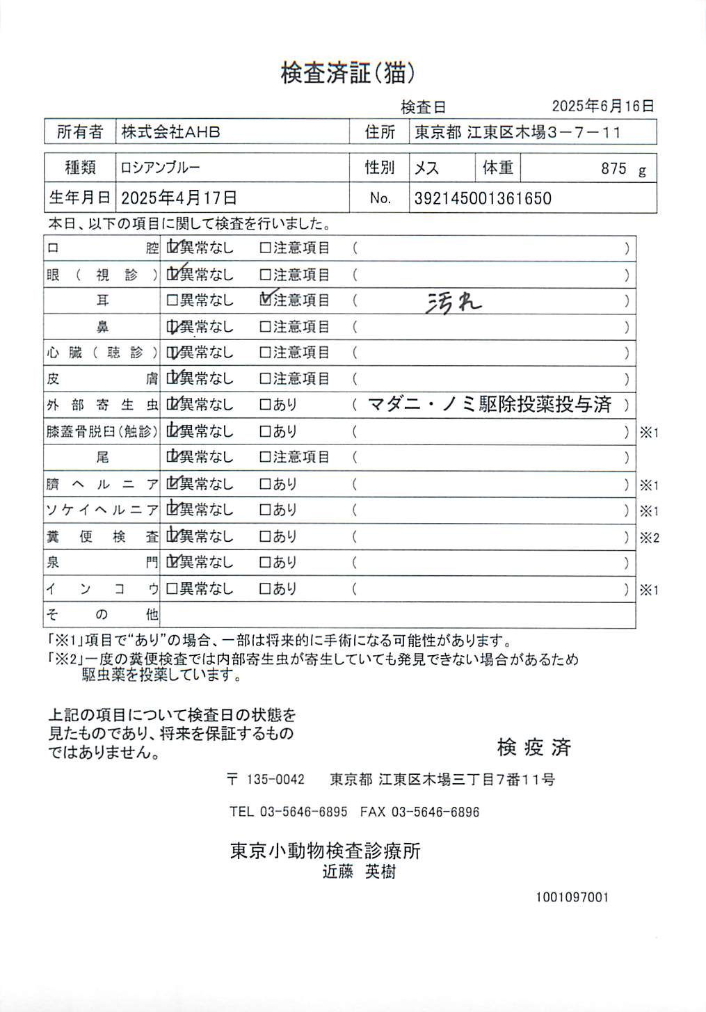 ロシアンブルー