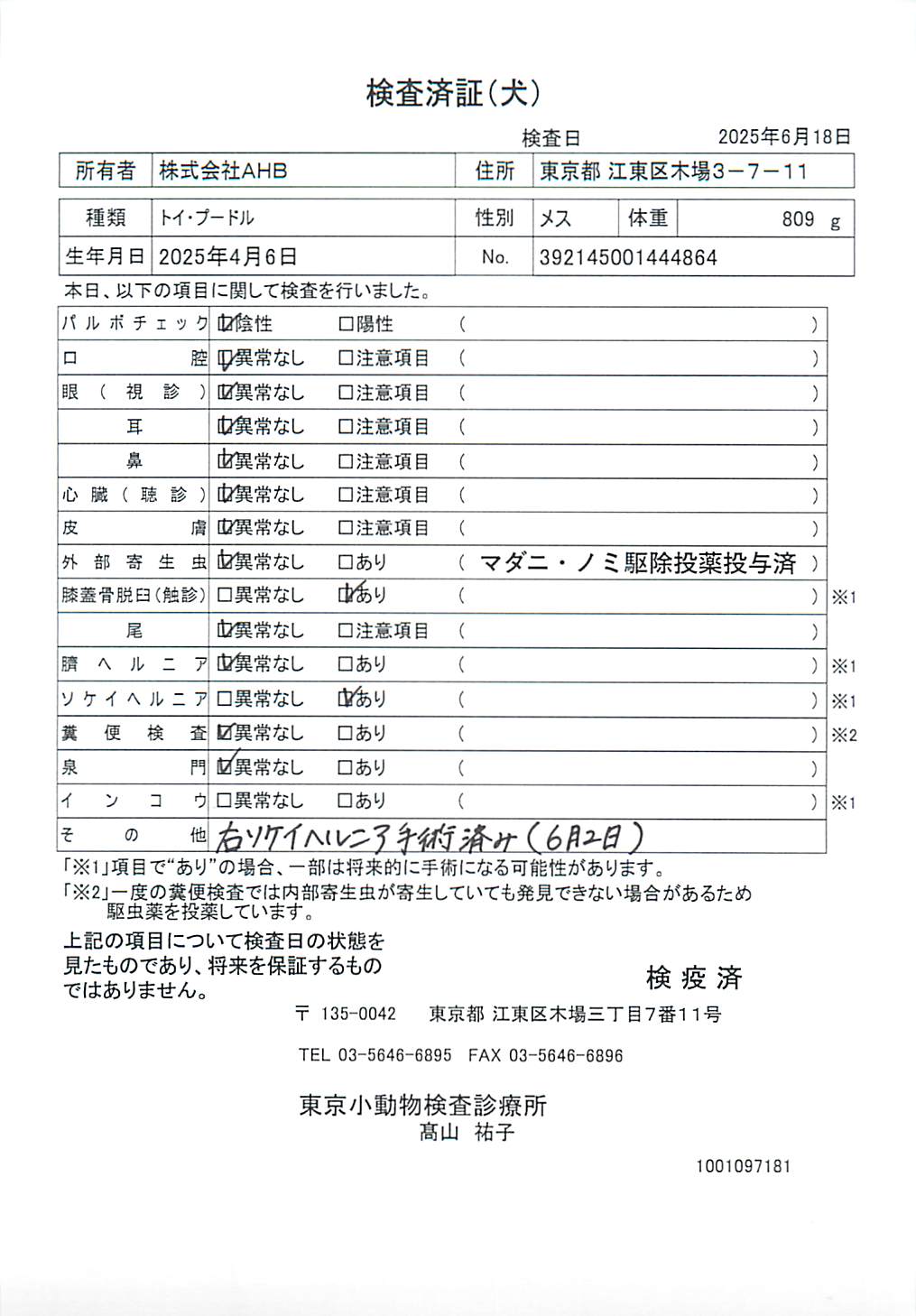 トイ・プードル