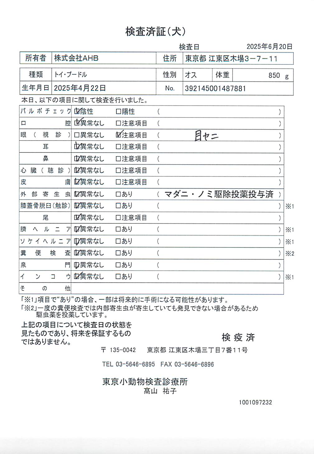 トイ・プードル