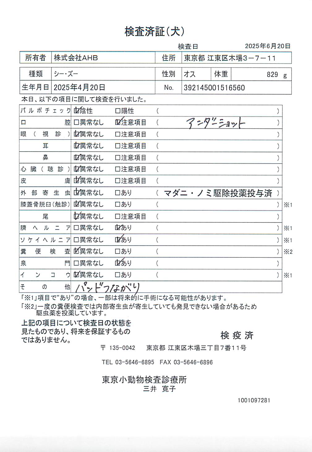 シー・ズー