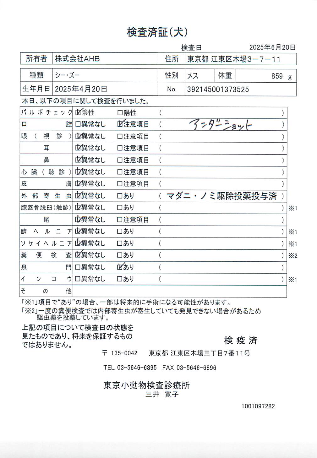 シー・ズー