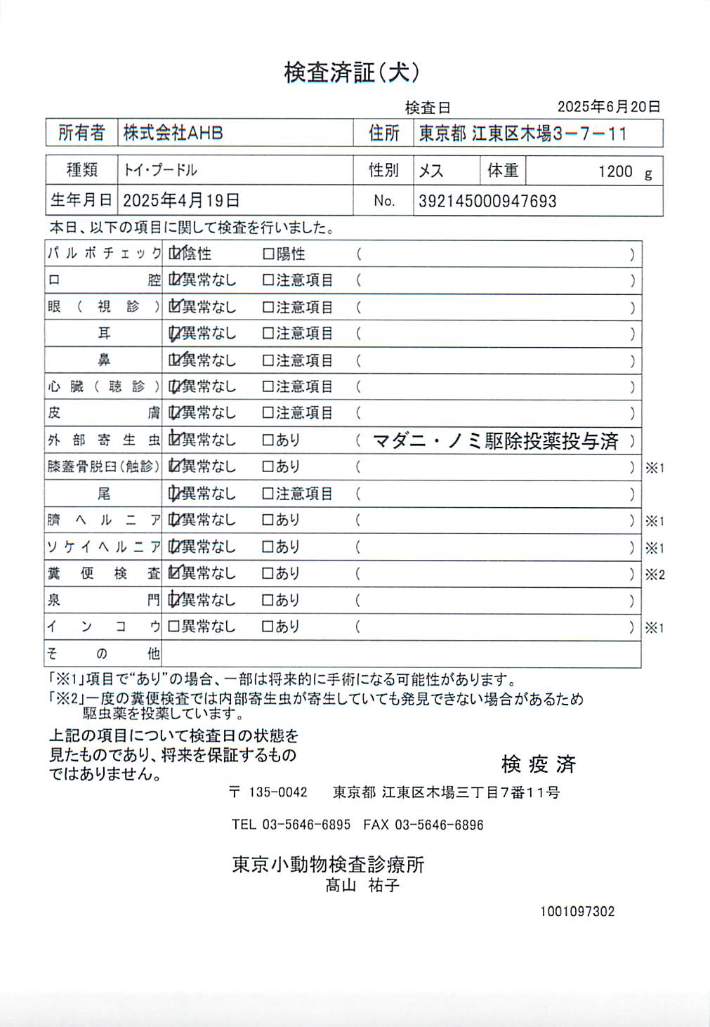 トイ・プードル