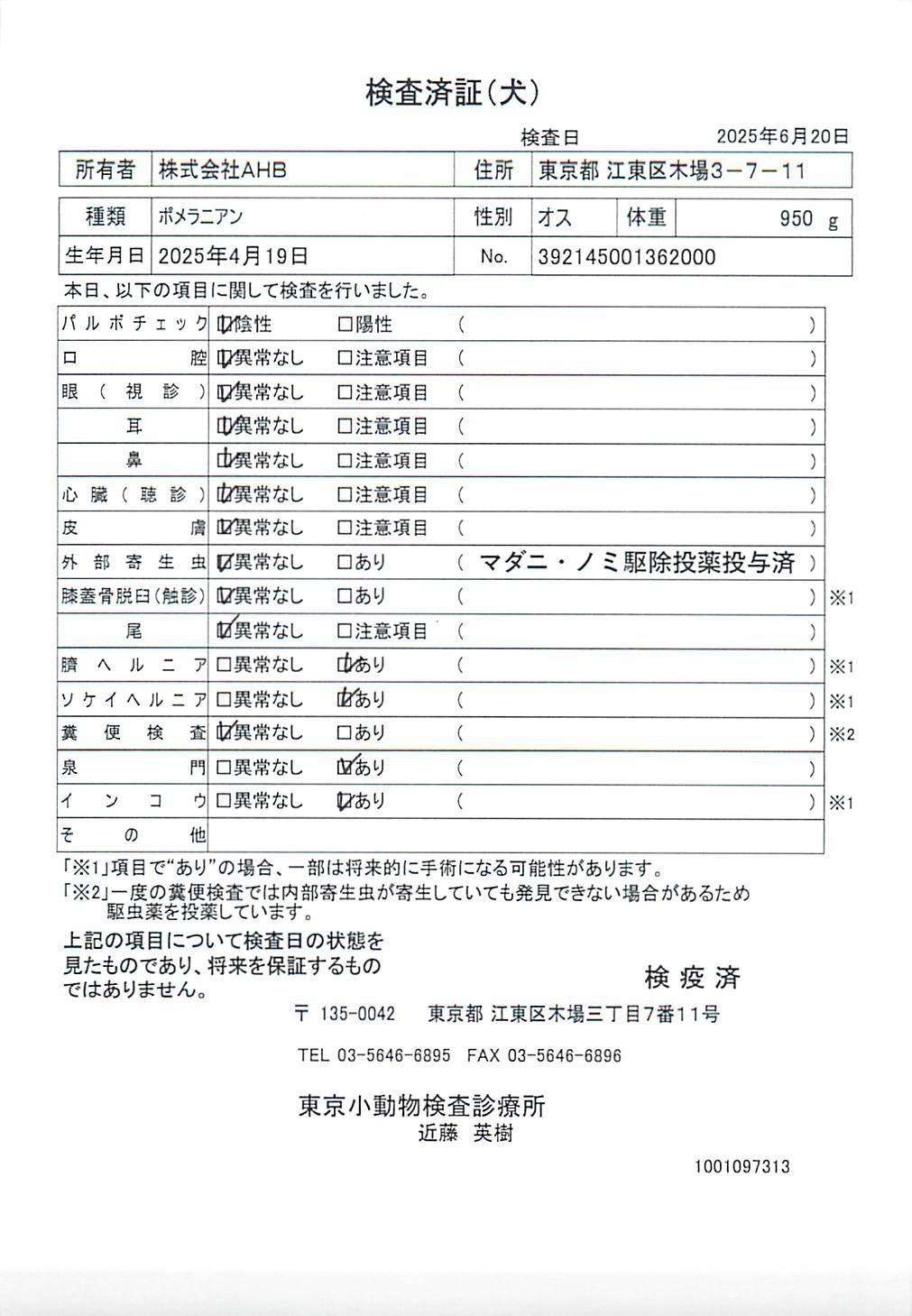 ポメラニアン