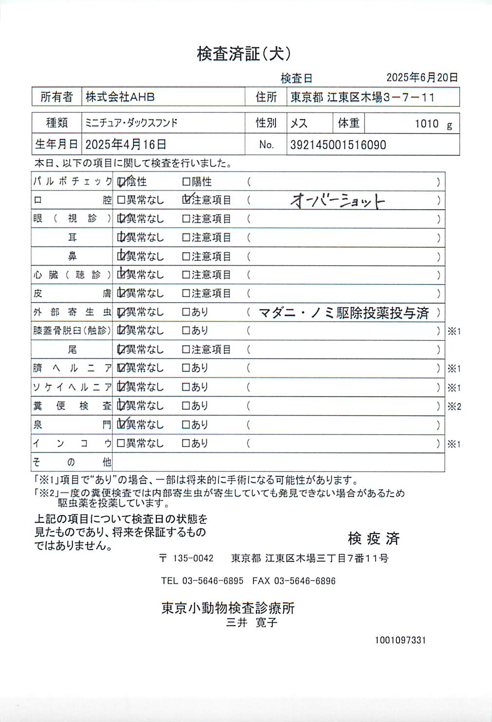 ミニチュア・ダックスフンド