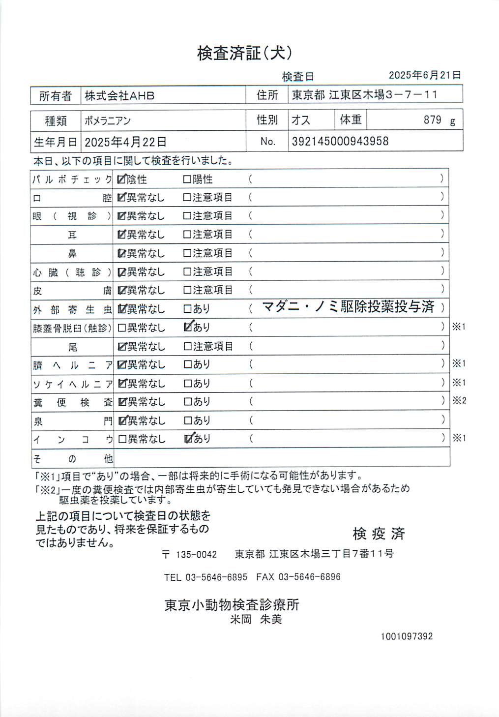 ポメラニアン