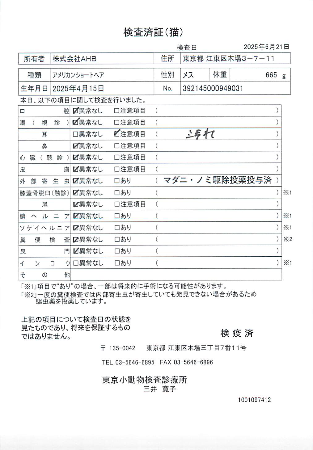 アメリカンショートヘア