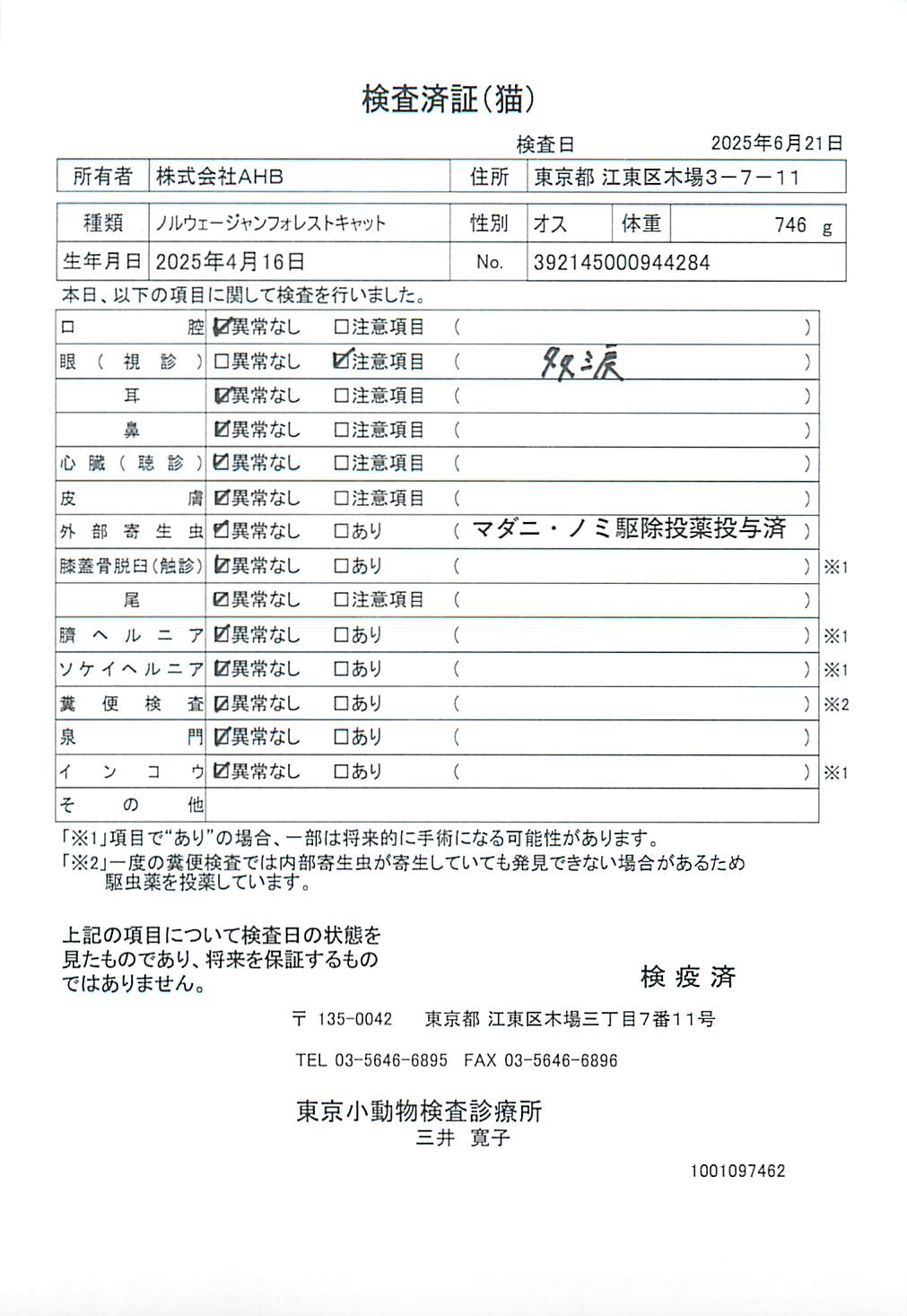 ノルウェージャンフォレストキャット