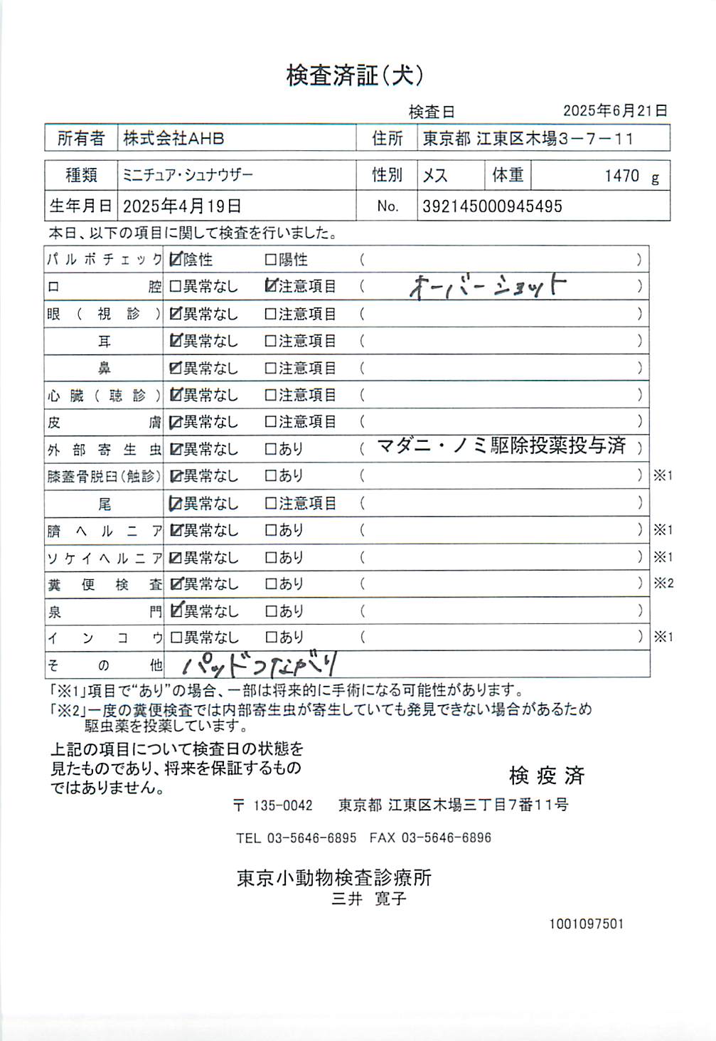 ミニチュア・シュナウザー