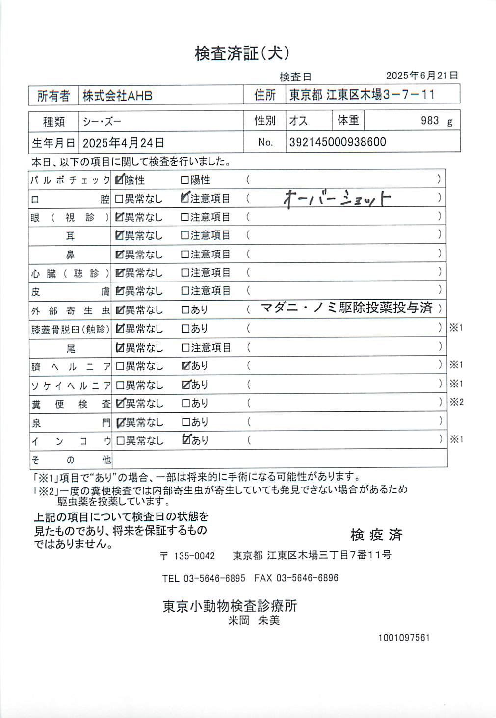 シー・ズー