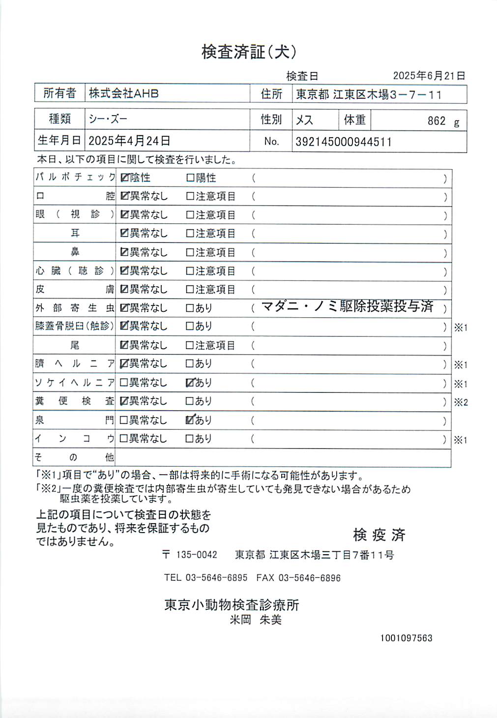 シー・ズー