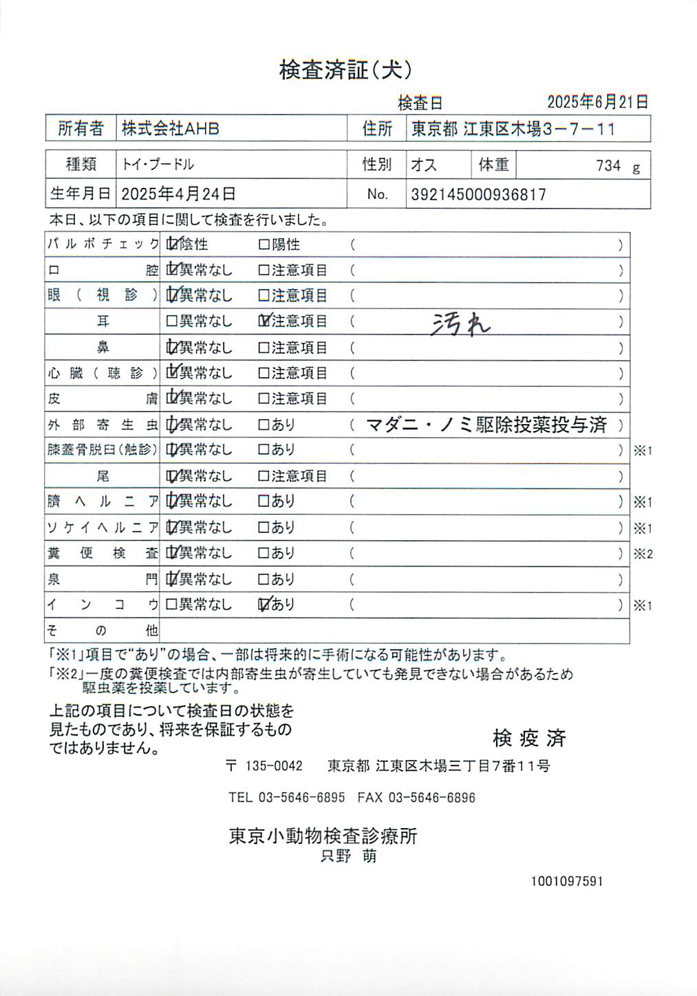 トイ・プードル