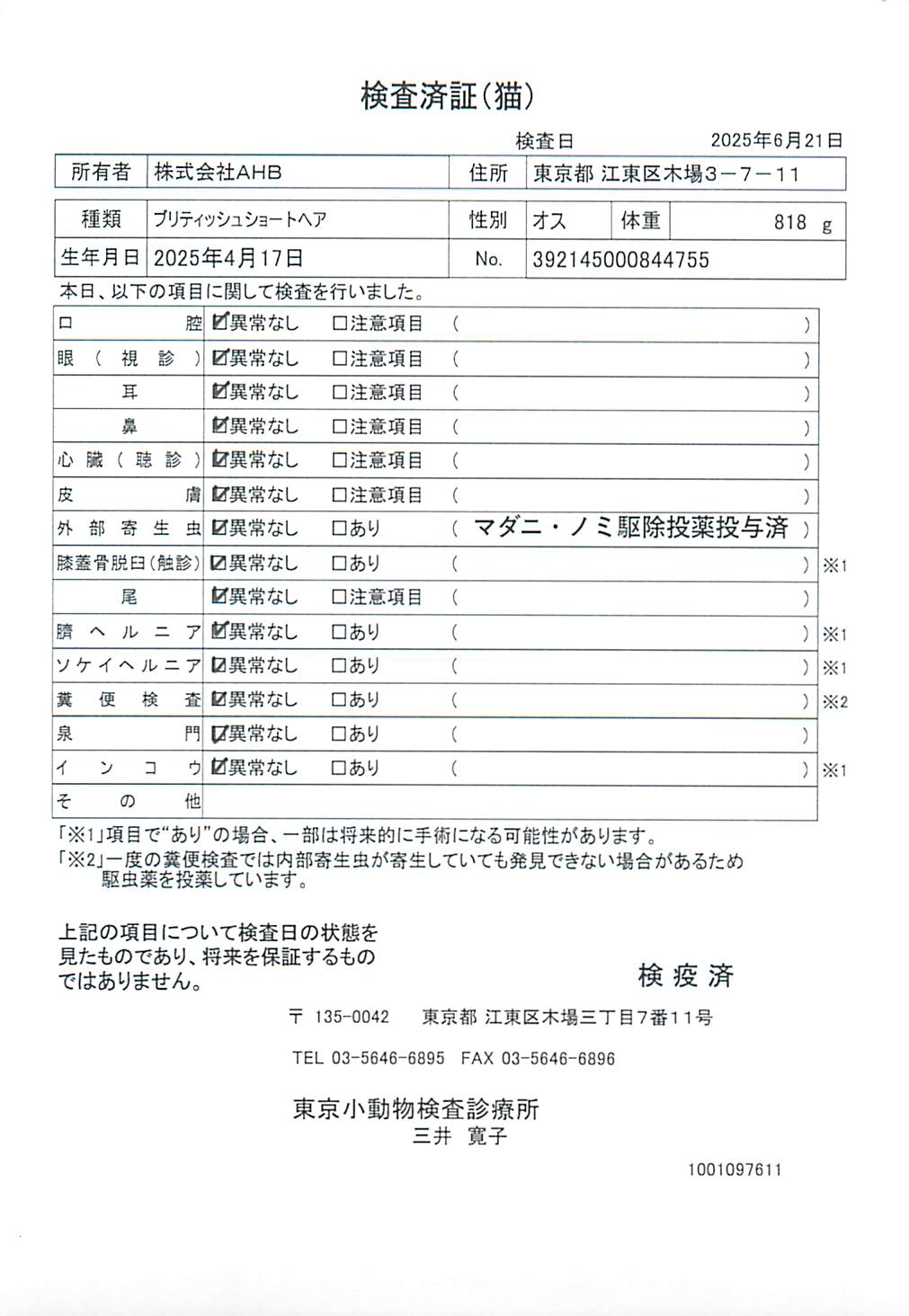 ブリティッシュショートヘア