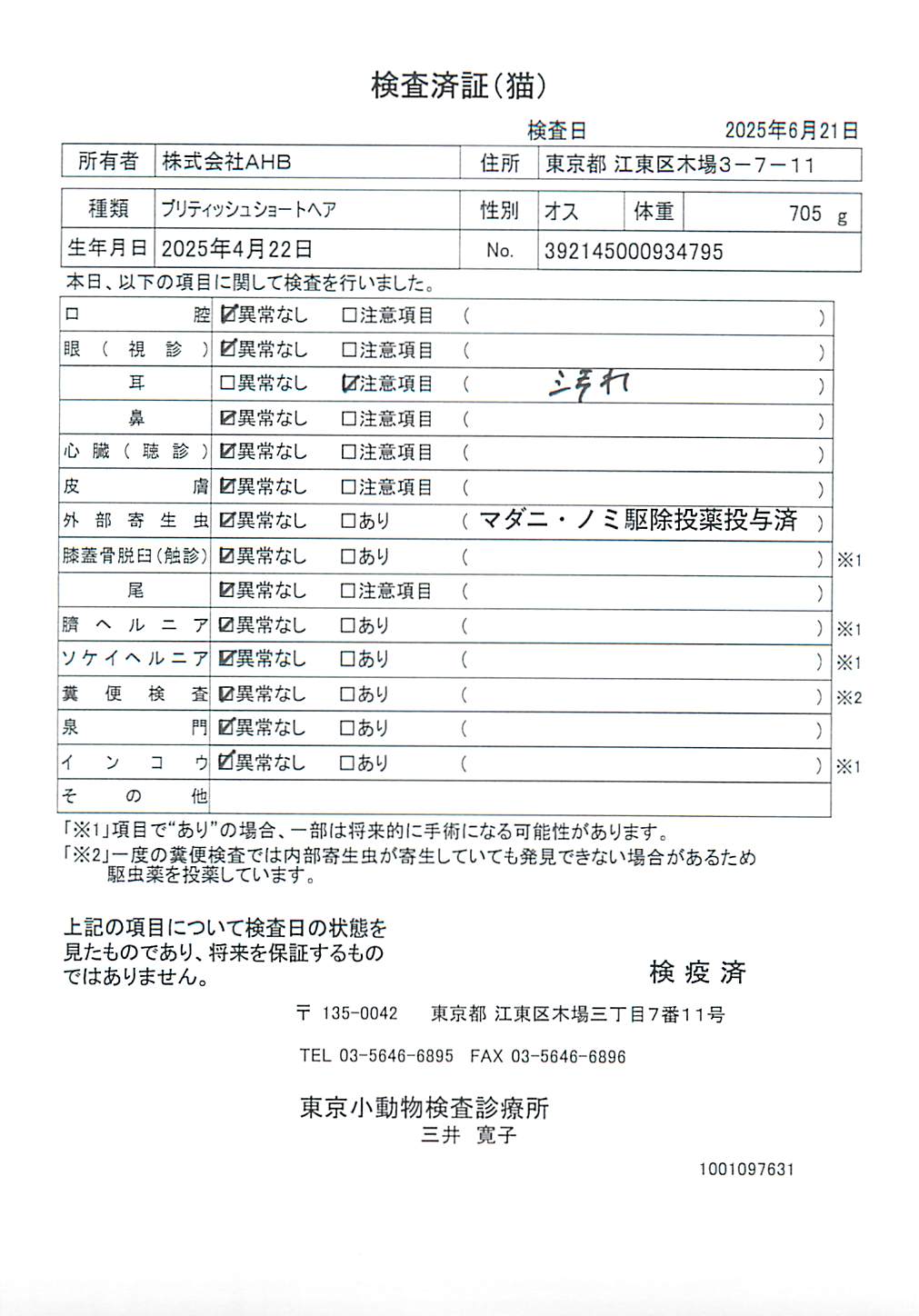 ブリティッシュショートヘア