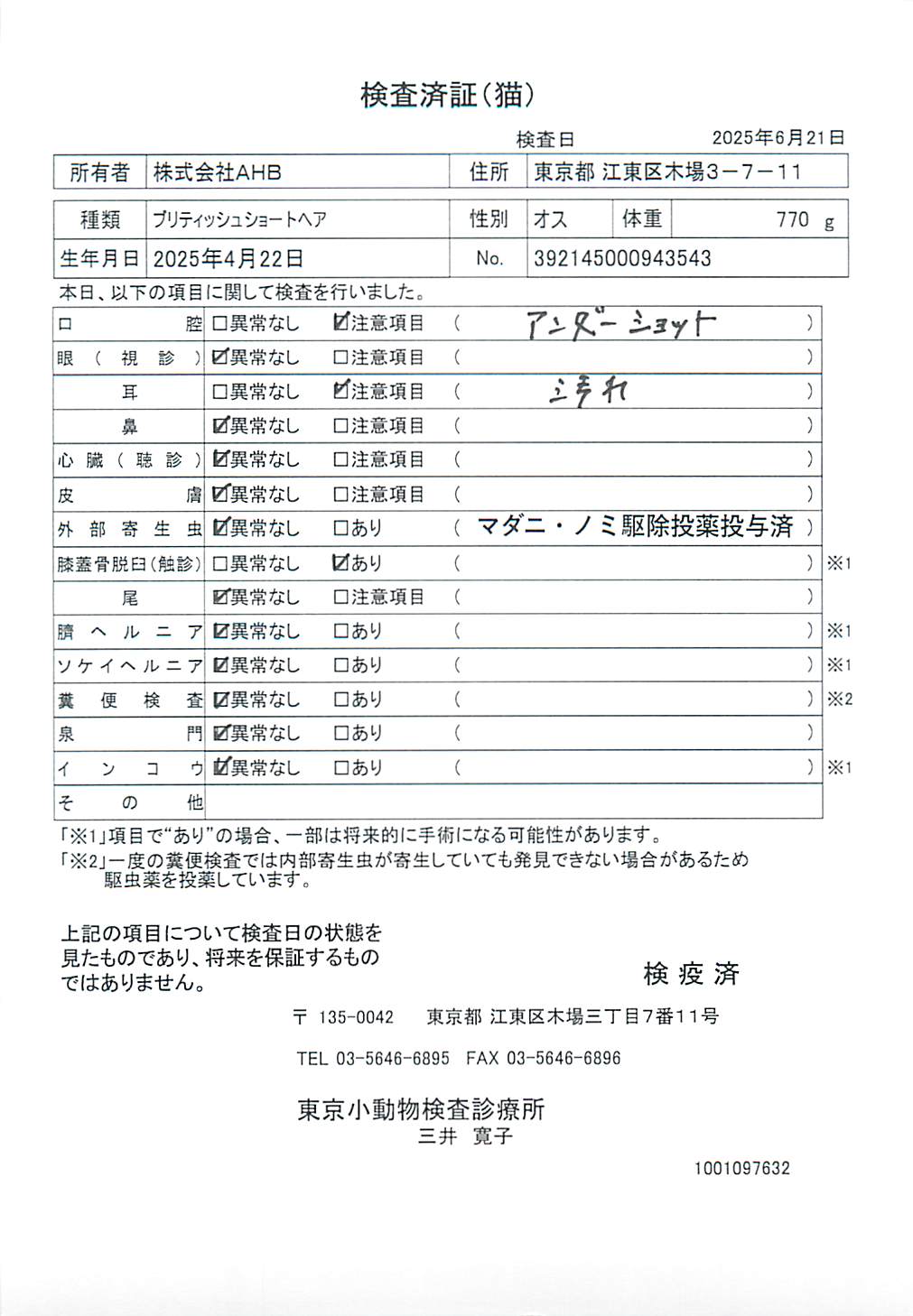 ブリティッシュショートヘア