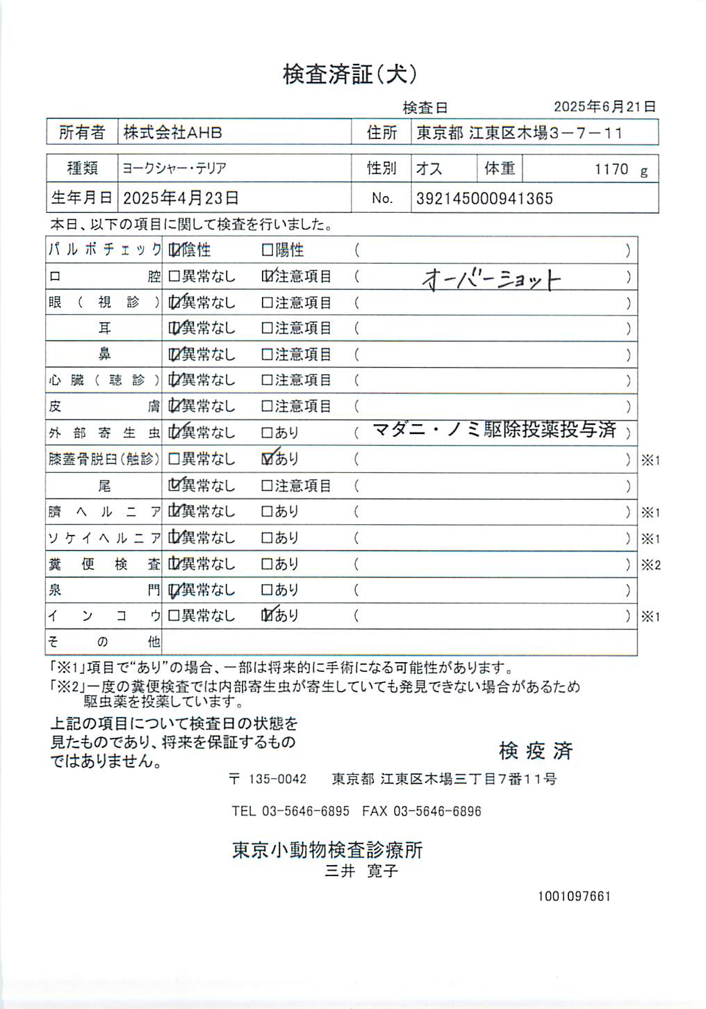ヨークシャー・テリア