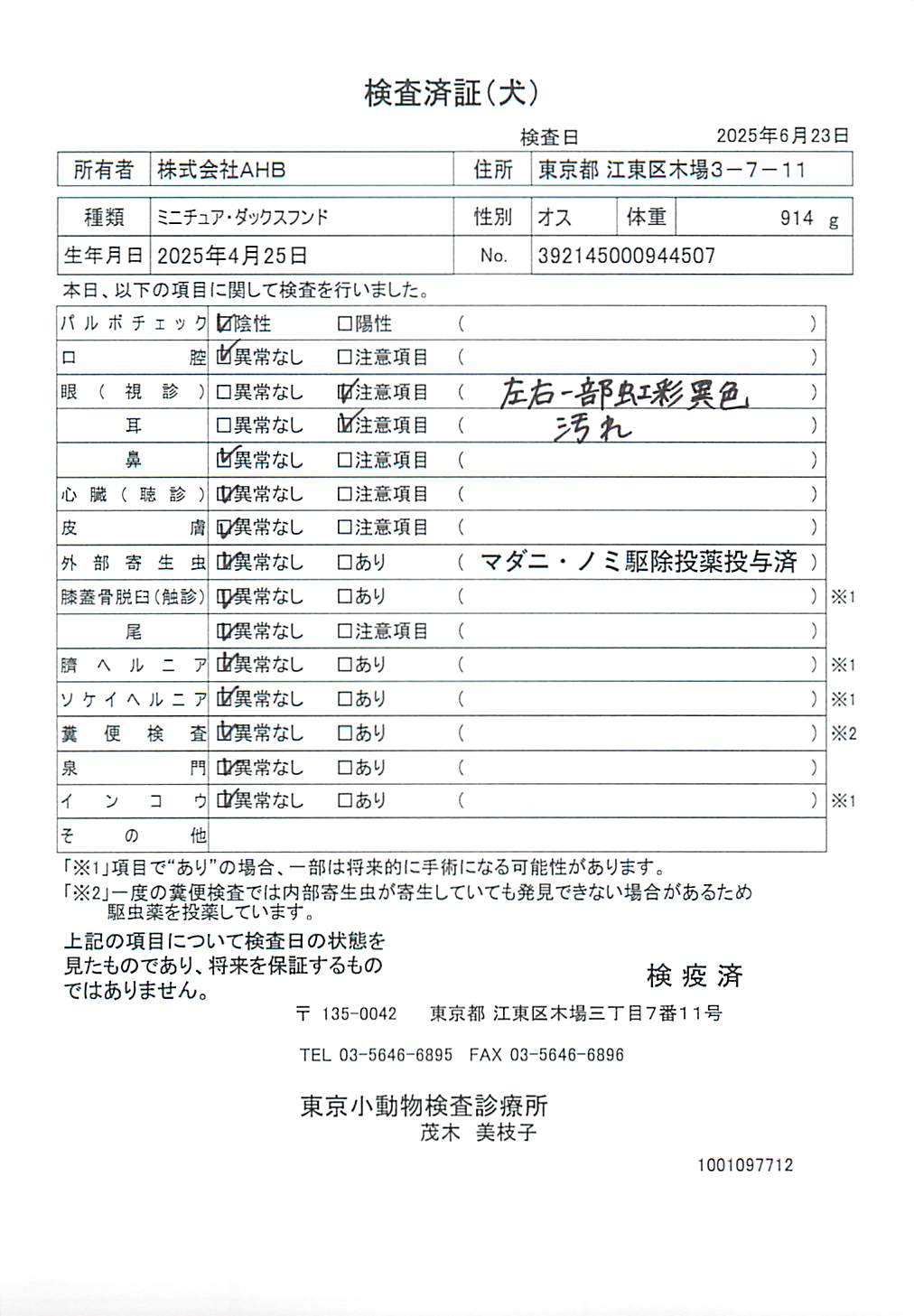 ミニチュア・ダックスフンド