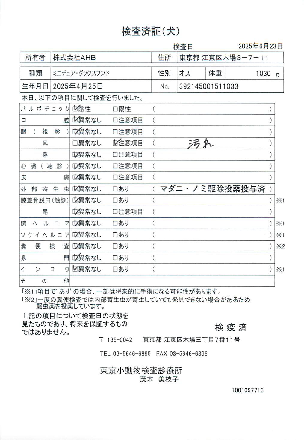 ミニチュア・ダックスフンド