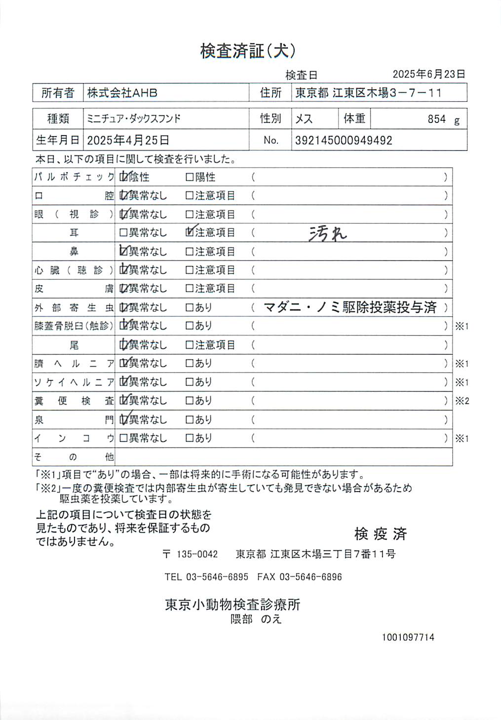 ミニチュア・ダックスフンド