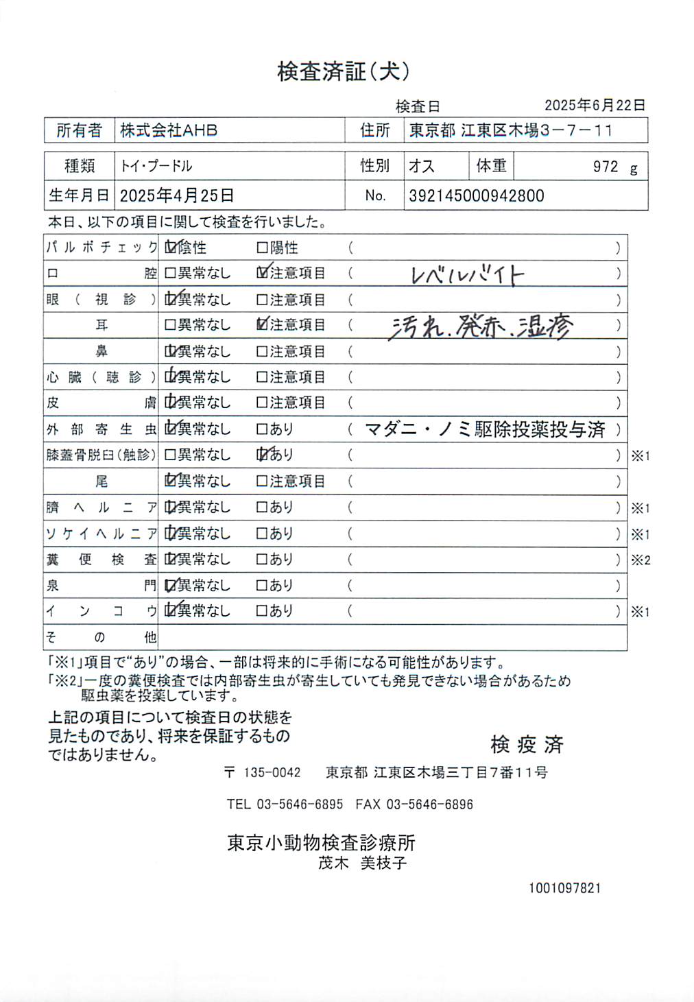 トイ・プードル