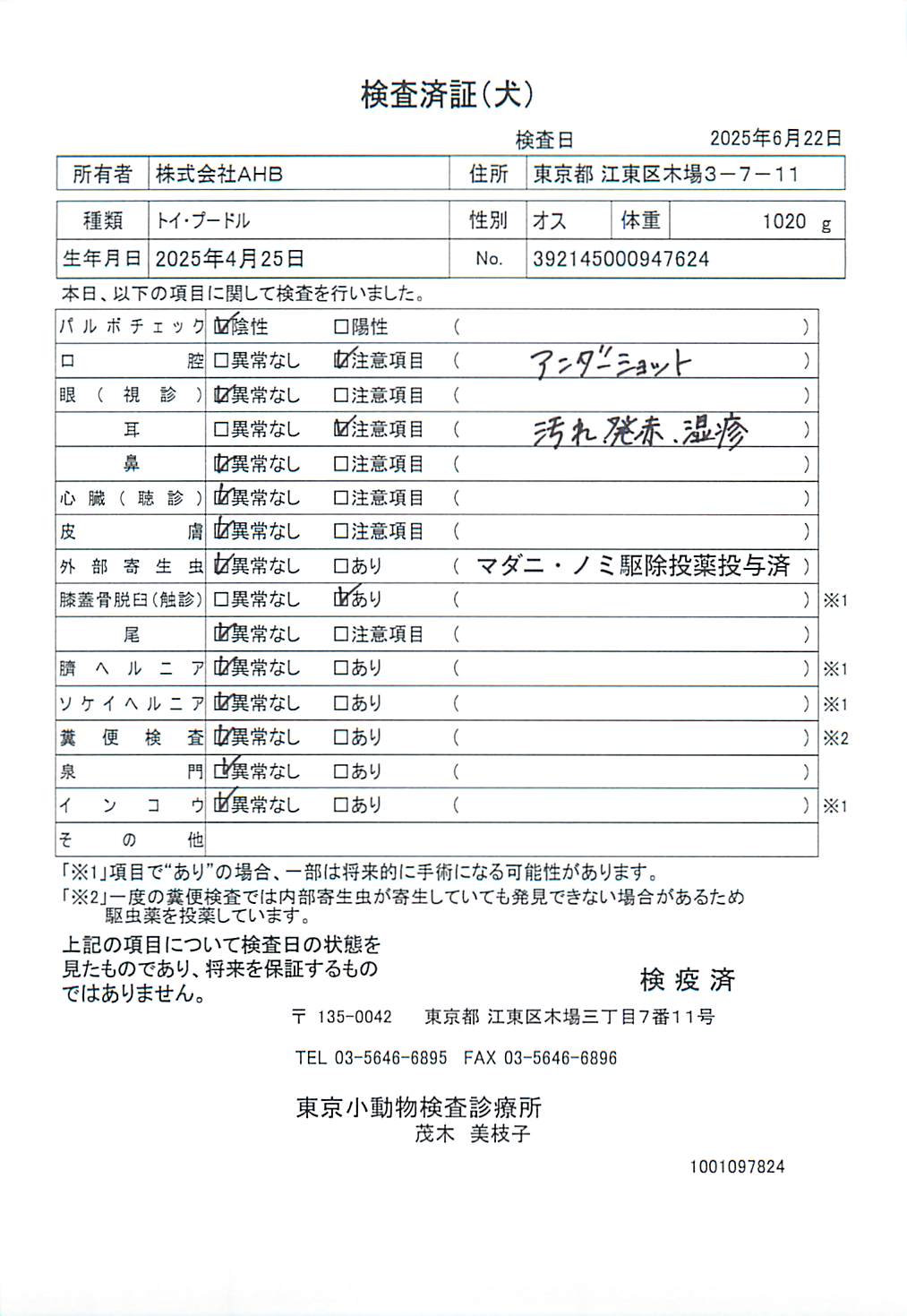トイ・プードル
