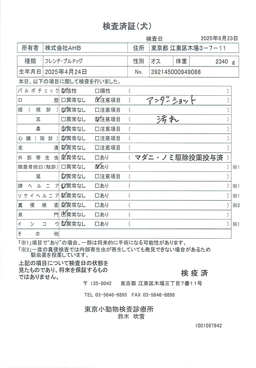 フレンチ・ブルドッグ
