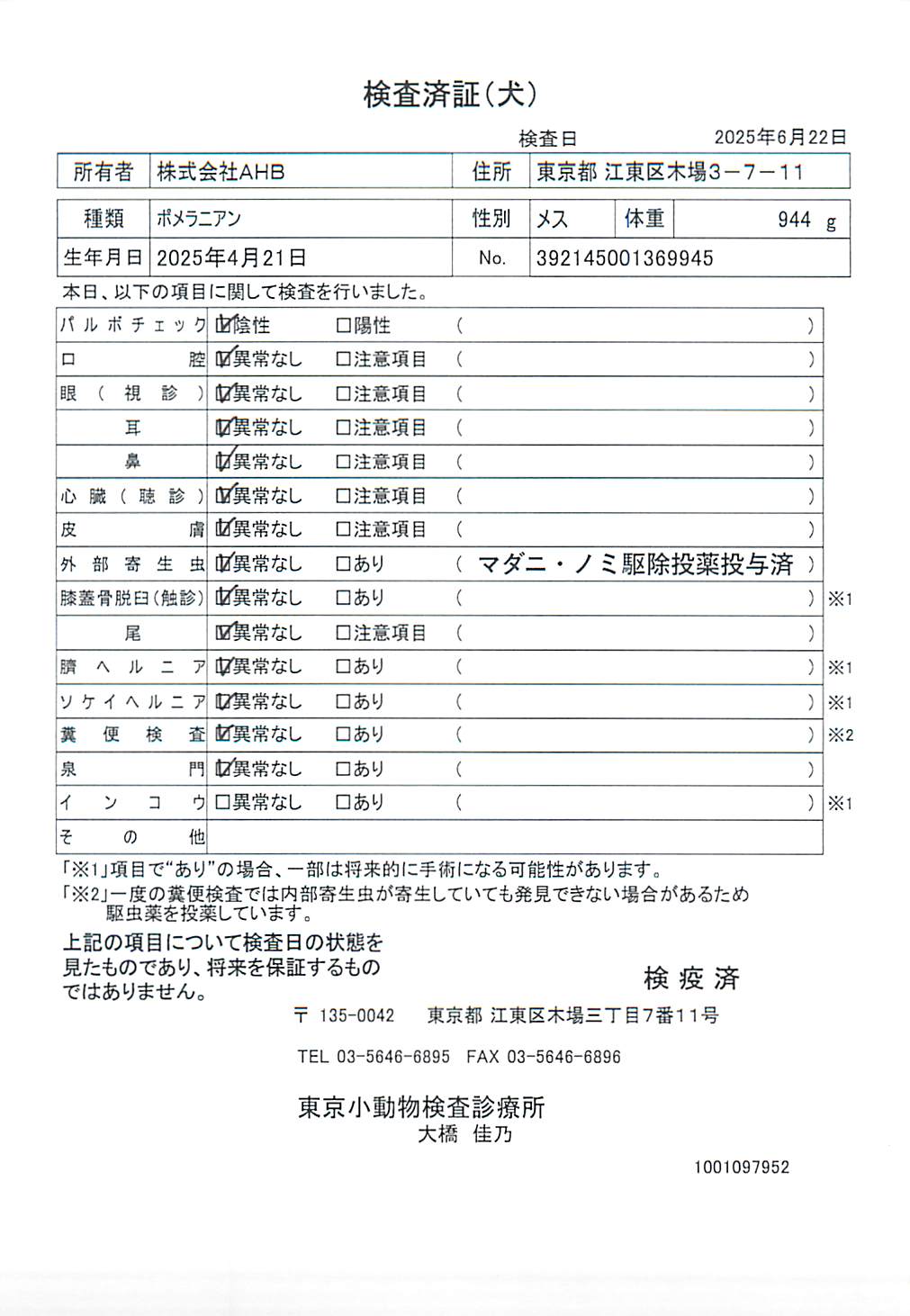 ポメラニアン