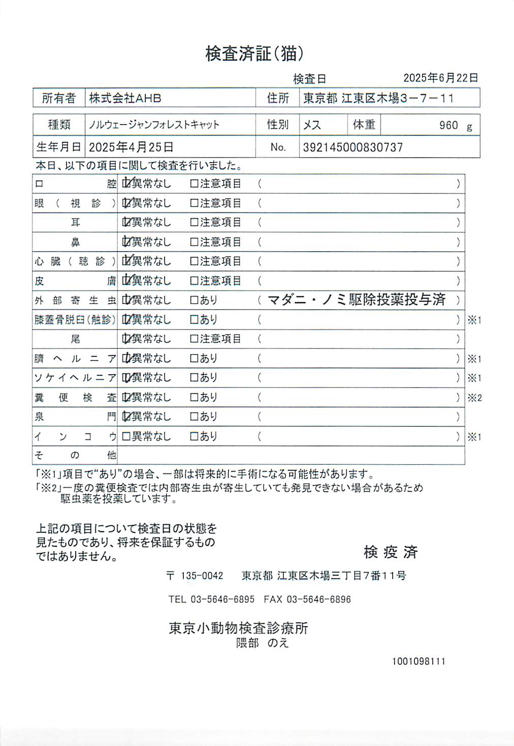 ノルウェージャンフォレストキャット