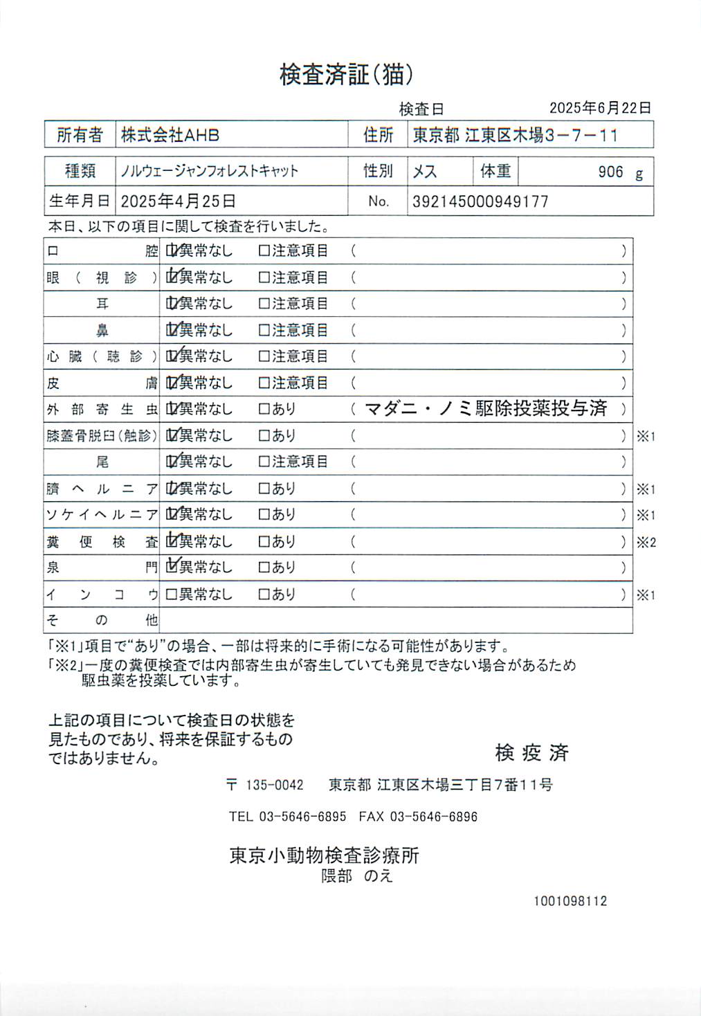 ノルウェージャンフォレストキャット