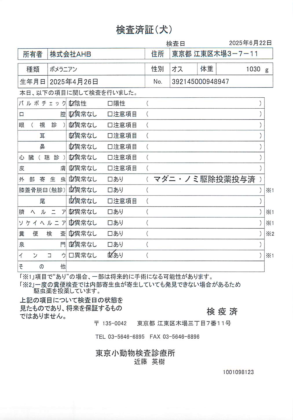 ポメラニアン
