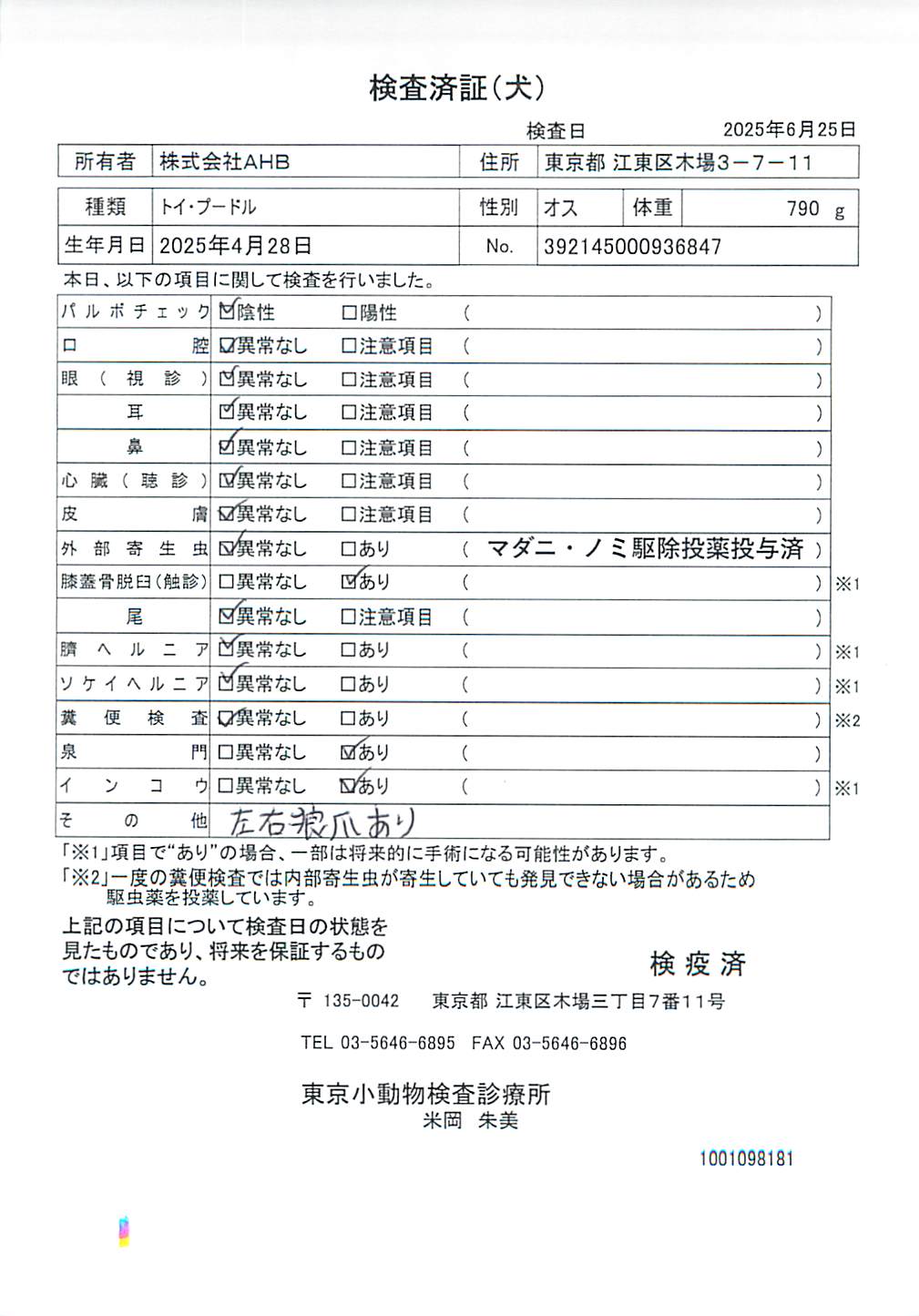 トイ・プードル
