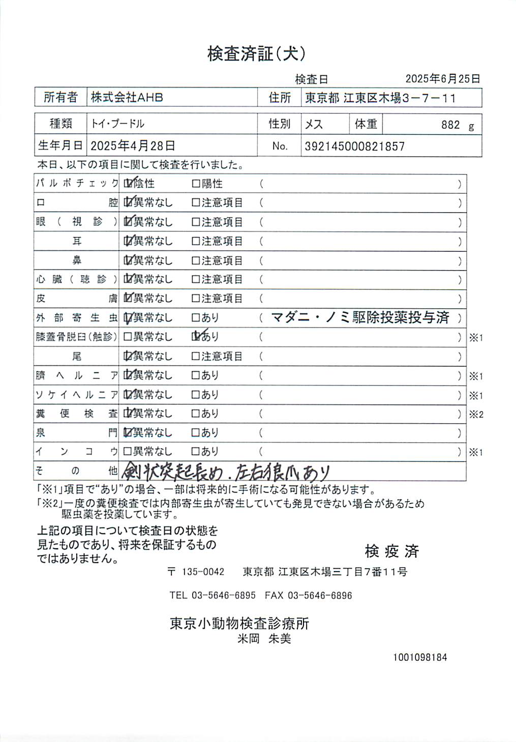 トイ・プードル