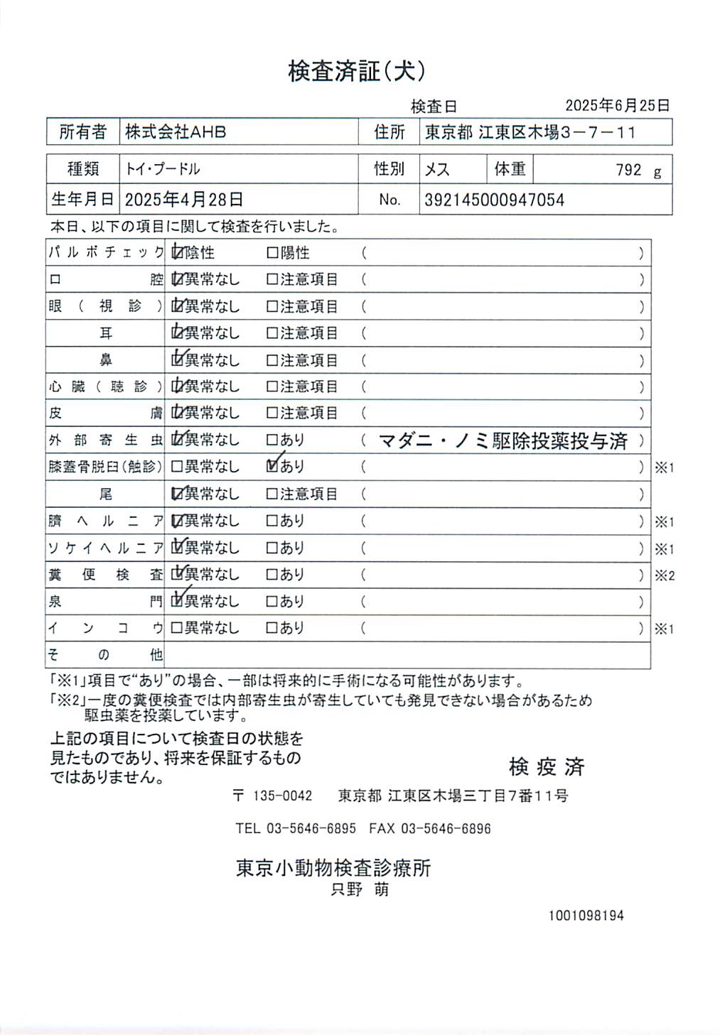 トイ・プードル