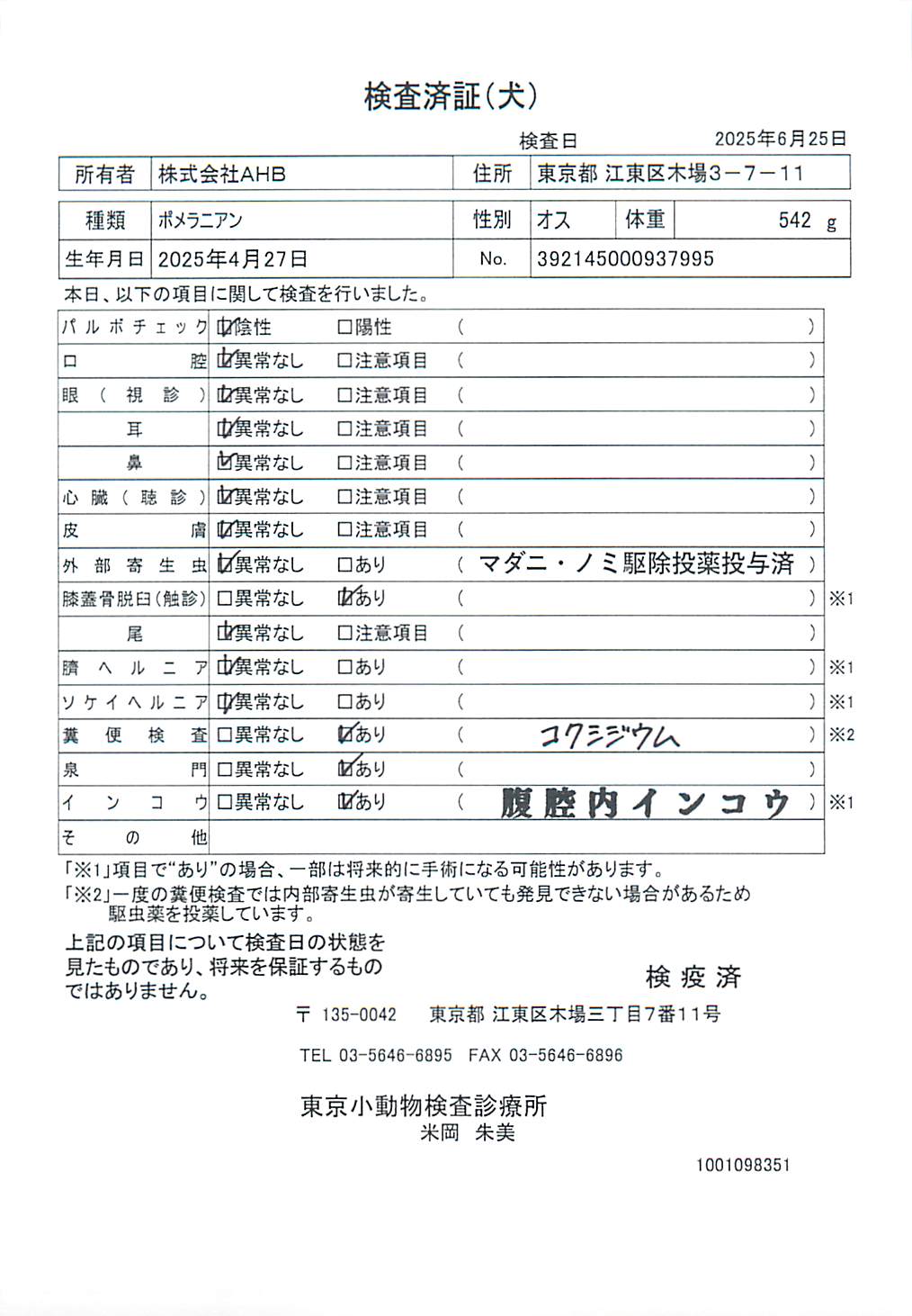 ポメラニアン