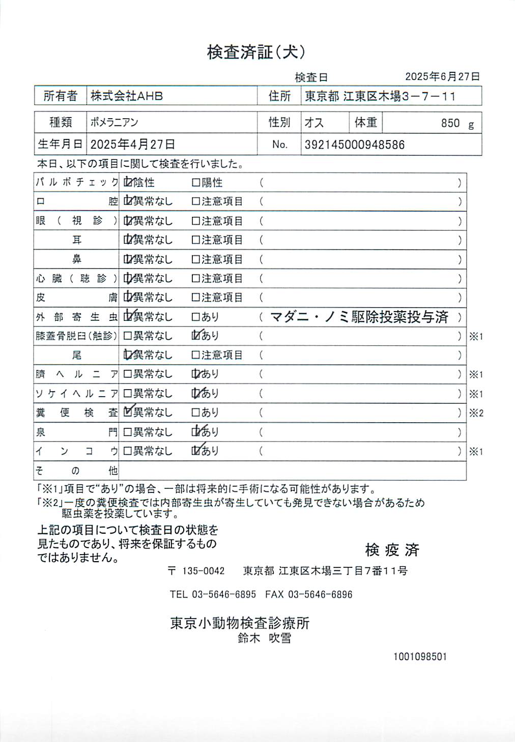 ポメラニアン