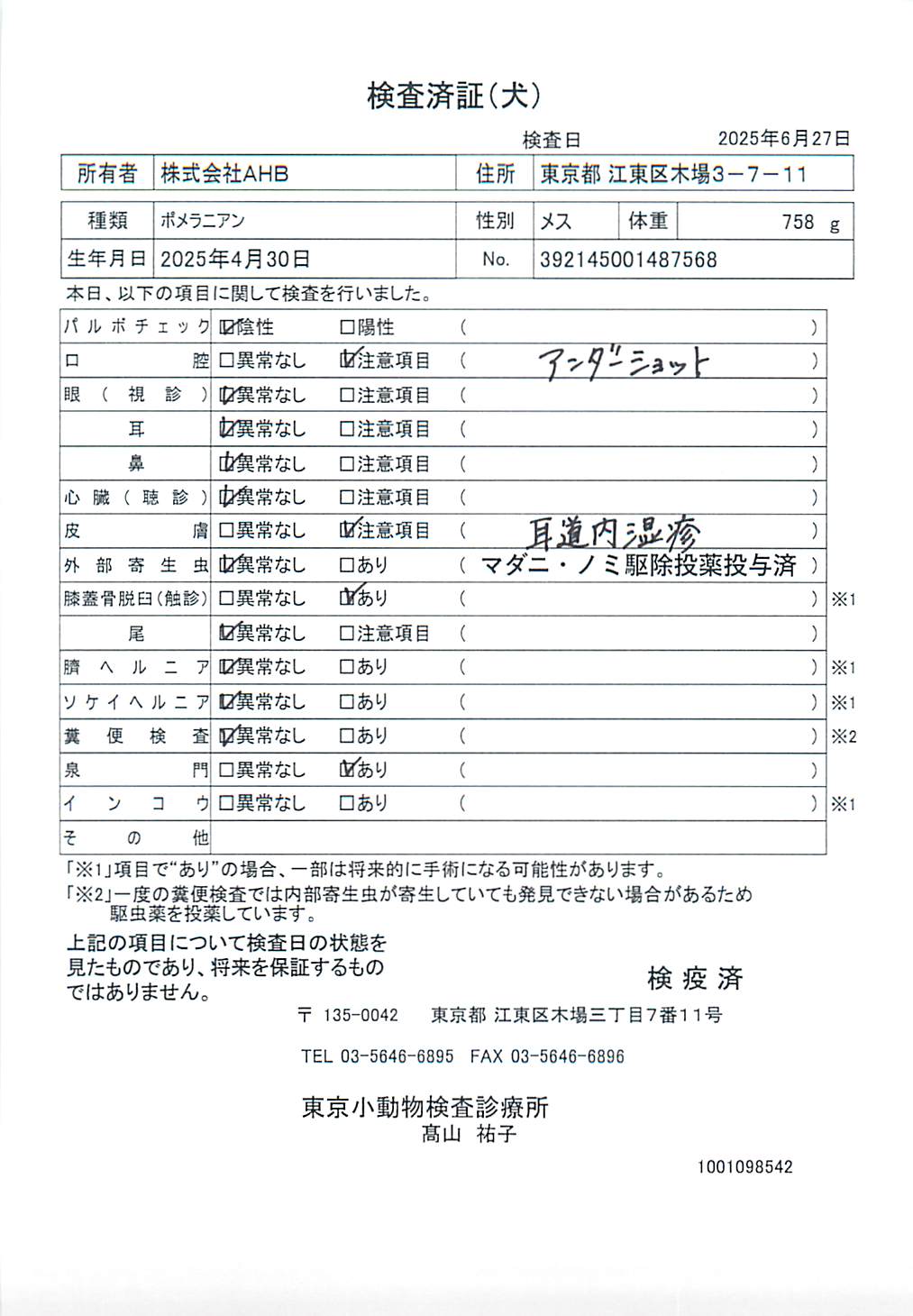 ポメラニアン